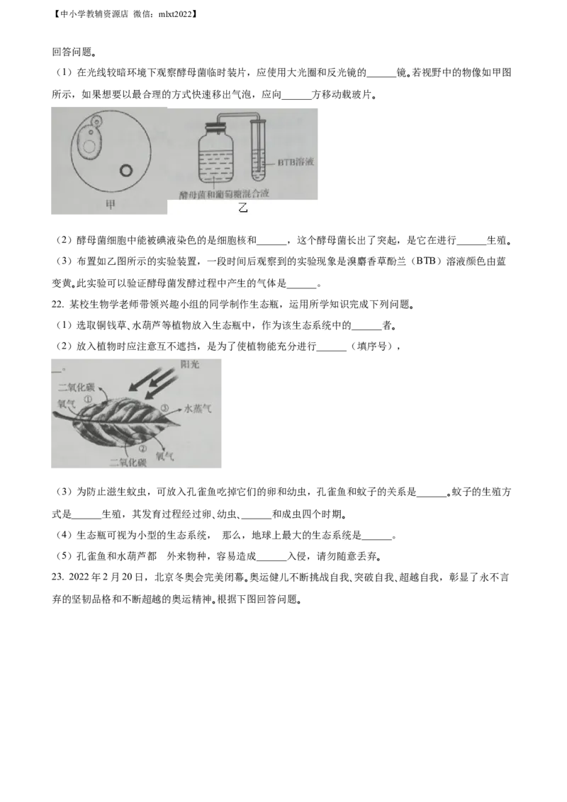 精品解析：2022年吉林省大安市中考生物真题（原卷版）(1)_中考真题_8.生物中考真题2015-2024年_2022年全国中考生物114份14