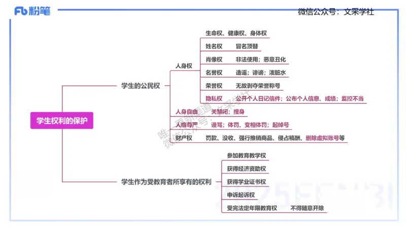 小学科目&mdash;理论精讲5&mdash;&mdash;王迪迪_4-教培资料-26年最新资料-同步更新_小学教资_012025下FB小学系统班_小学25下-综合素质_1.理论精讲_讲义
