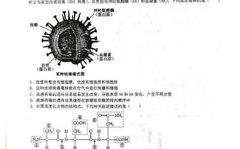 湖北省仙桃中学2026届高三上学期期中考试生物试卷含答案_251110湖北省仙桃中学2026届高三上学期期中考试（全科）