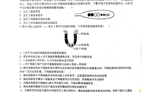 湖北省仙桃中学2026届高三上学期期中考试生物试卷含答案_251110湖北省仙桃中学2026届高三上学期期中考试（全科）