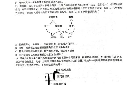 湖北省仙桃中学2026届高三上学期期中考试生物试卷含答案_251110湖北省仙桃中学2026届高三上学期期中考试（全科）