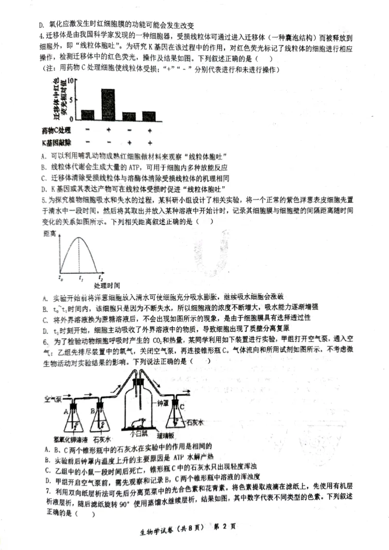 湖北省仙桃中学2026届高三上学期期中考试生物试卷含答案_251110湖北省仙桃中学2026届高三上学期期中考试（全科）