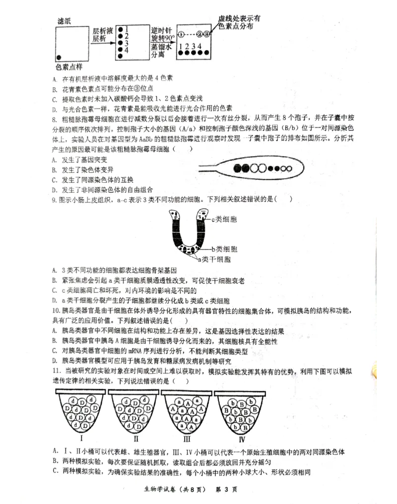 湖北省仙桃中学2026届高三上学期期中考试生物试卷含答案_251110湖北省仙桃中学2026届高三上学期期中考试（全科）