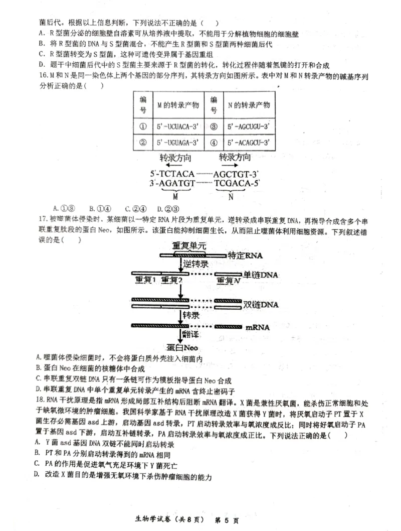 湖北省仙桃中学2026届高三上学期期中考试生物试卷含答案_251110湖北省仙桃中学2026届高三上学期期中考试（全科）