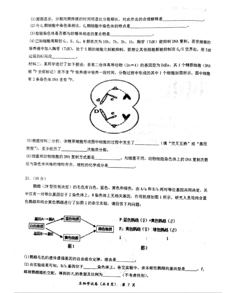 湖北省仙桃中学2026届高三上学期期中考试生物试卷含答案_251110湖北省仙桃中学2026届高三上学期期中考试（全科）