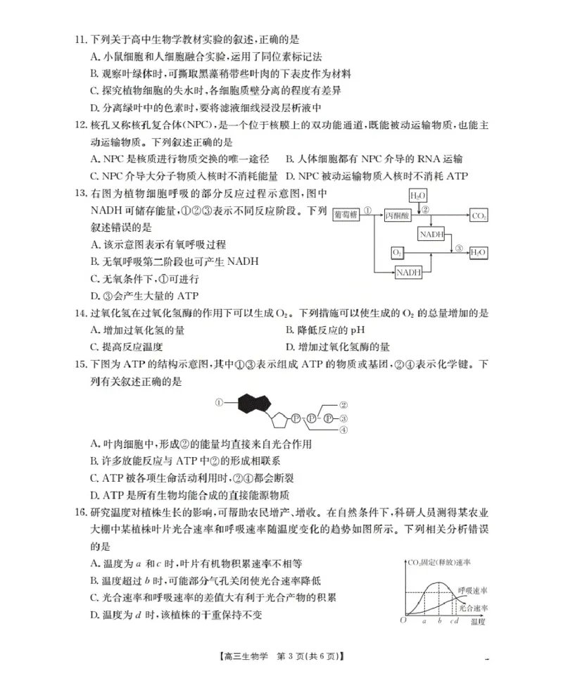 甘肃省2026届高三上学期10月联考（26-76C）生物_251103金太阳&middot;甘肃省2026届高三上学期10月联考（26-76C）（全科）