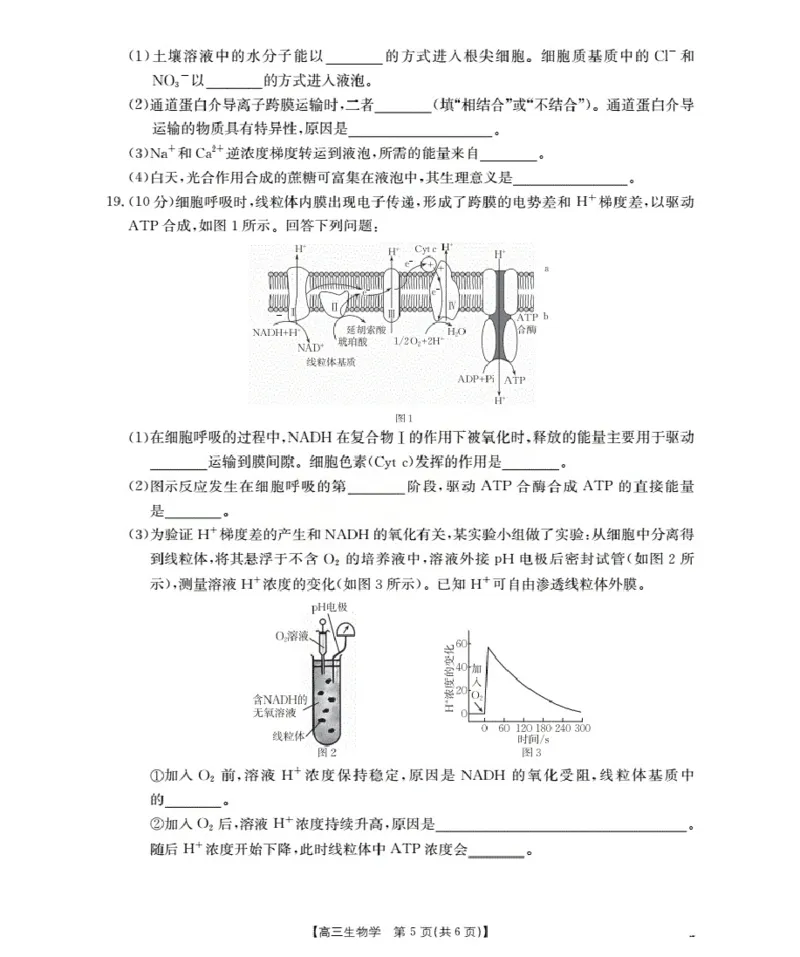 甘肃省2026届高三上学期10月联考（26-76C）生物_251103金太阳&middot;甘肃省2026届高三上学期10月联考（26-76C）（全科）