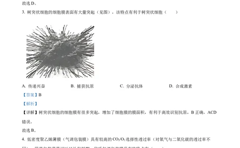 精品解析：广东省江门市2025-2026学年高三上学期调研测试生物试题A（解析版）_251109广东省江门市2025-2026学年高三上学期11月调研测试（全科）