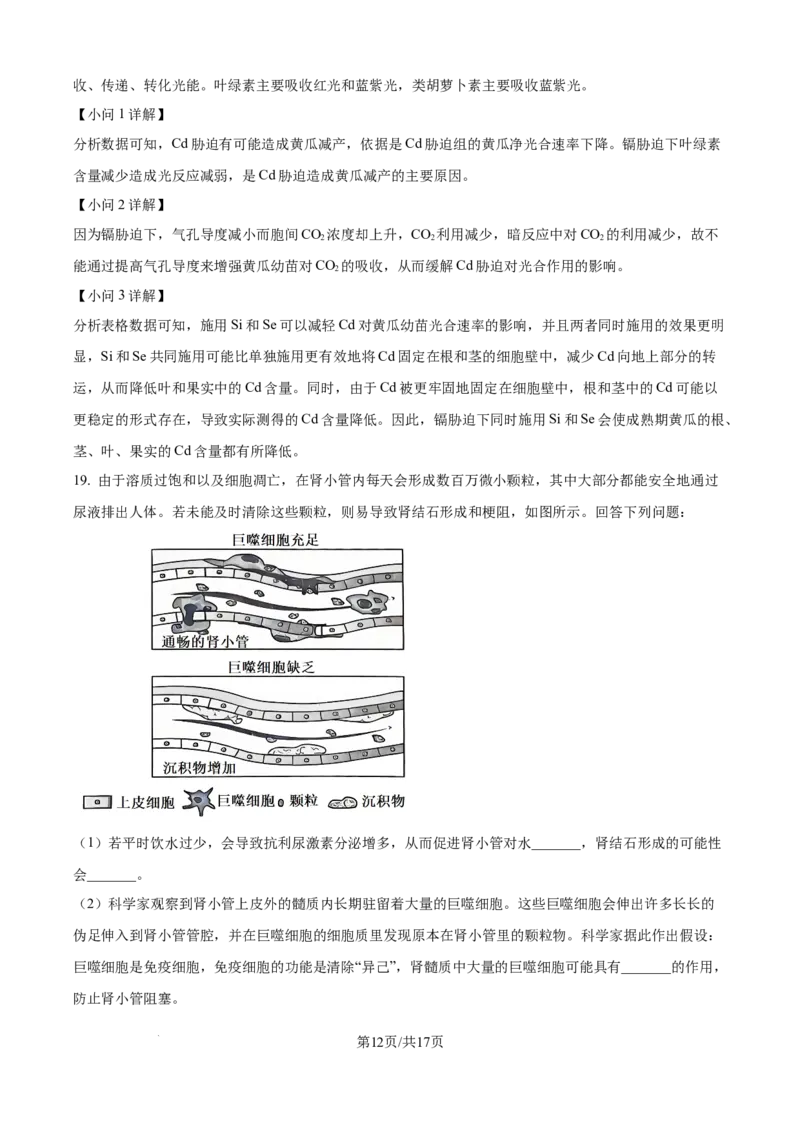 精品解析：广东省江门市2025-2026学年高三上学期调研测试生物试题A（解析版）_251109广东省江门市2025-2026学年高三上学期11月调研测试（全科）
