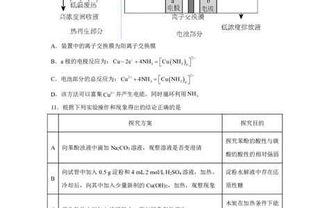 化学+答案江苏省南京市中华中学2025-2026学年高三上学期10月月考化学试题-A4答案卷尾_251104江苏省南京市中华中学2025-2026学年高三上学期10月月考（全科）