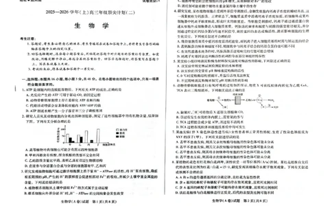 河南省天一大联考2025-2026学年高三上学期顶尖计划（二）生物试题（含答案）_2025年12月_251209河南省天一大联考顶尖计划2025-2026学年高三上学期月考（二）