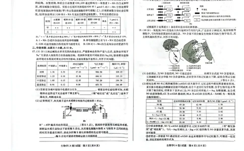 河南省天一大联考2025-2026学年高三上学期顶尖计划（二）生物试题（含答案）_2025年12月_251209河南省天一大联考顶尖计划2025-2026学年高三上学期月考（二）