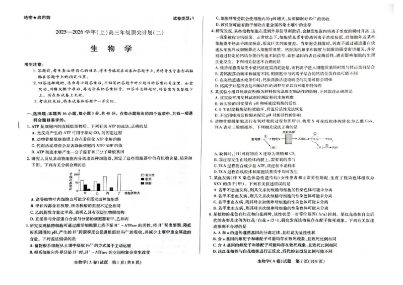 河南省天一大联考2025-2026学年高三上学期顶尖计划（二）生物试题（含答案）_2025年12月_251209河南省天一大联考顶尖计划2025-2026学年高三上学期月考（二）