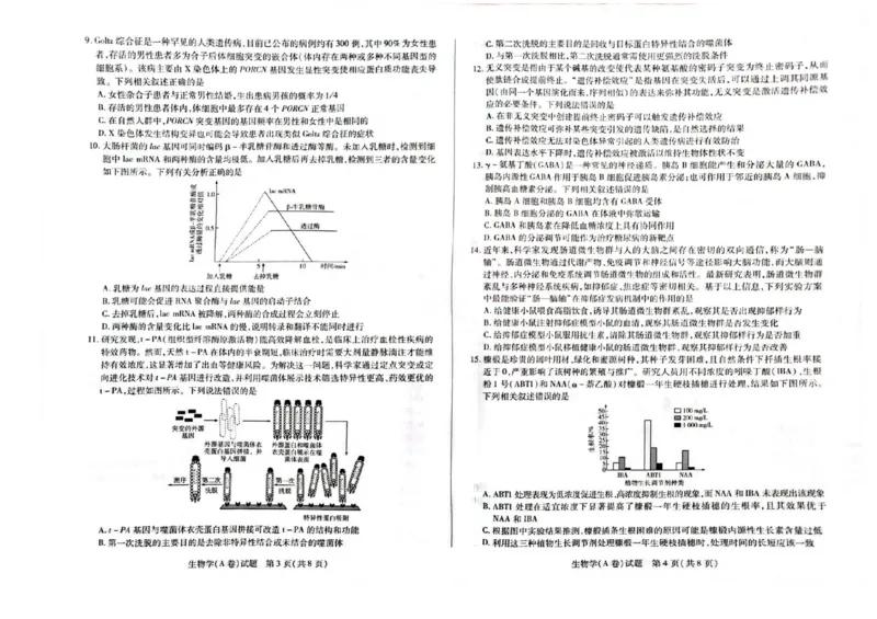 河南省天一大联考2025-2026学年高三上学期顶尖计划（二）生物试题（含答案）_2025年12月_251209河南省天一大联考顶尖计划2025-2026学年高三上学期月考（二）