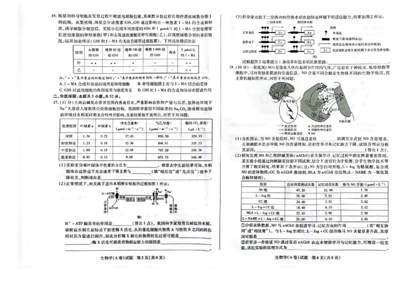 河南省天一大联考2025-2026学年高三上学期顶尖计划（二）生物试题（含答案）_2025年12月_251209河南省天一大联考顶尖计划2025-2026学年高三上学期月考（二）