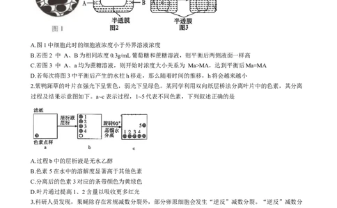 湖南省长沙市雨花区长沙市雅礼中学2025-2026学年高三上学期12月月考生物试题_2025年12月_251217湖南英才大联考雅礼中学2026届高三月考试卷（四）（全科）