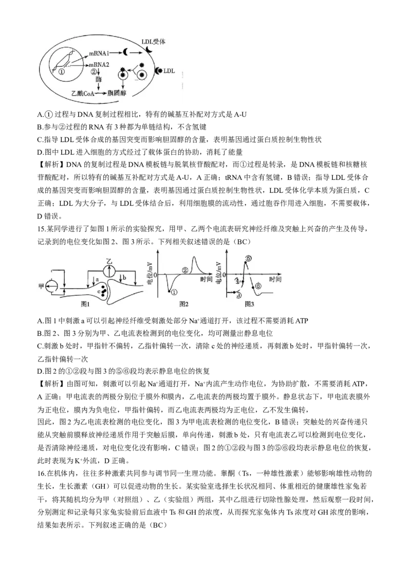 湖南省长沙市雨花区长沙市雅礼中学2025-2026学年高三上学期12月月考生物试题_2025年12月_251217湖南英才大联考雅礼中学2026届高三月考试卷（四）（全科）