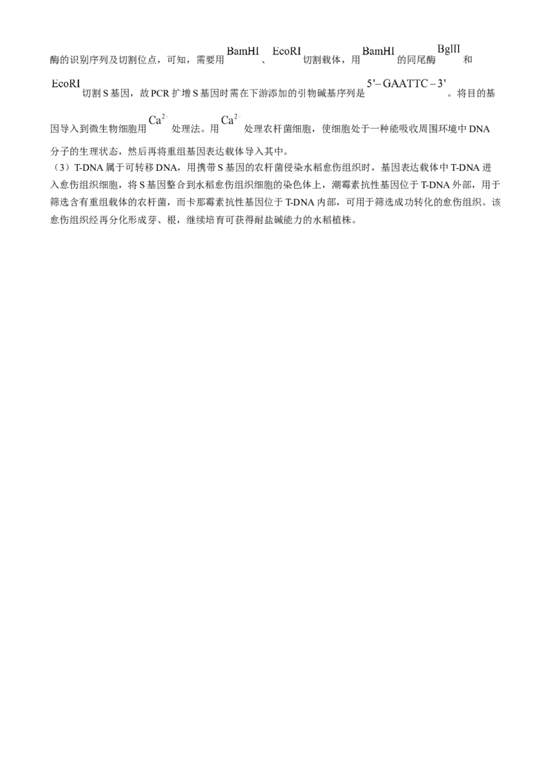 湖南省长沙市雨花区长沙市雅礼中学2025-2026学年高三上学期12月月考生物试题_2025年12月_251217湖南英才大联考雅礼中学2026届高三月考试卷（四）（全科）