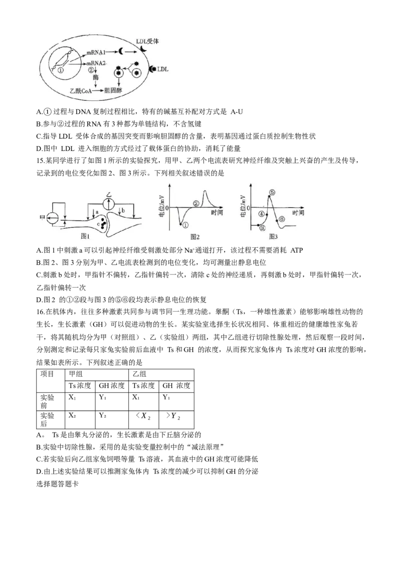 湖南省长沙市雨花区长沙市雅礼中学2025-2026学年高三上学期12月月考生物试题_2025年12月_251217湖南英才大联考雅礼中学2026届高三月考试卷（四）（全科）