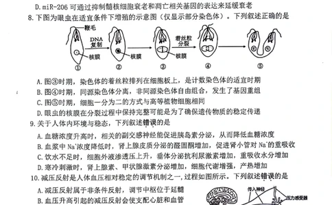 生物+答案江苏省连云港市2025-2026学年高三上学期11月期中考试生物试题_251116江苏省连云港市2025-2026学年高三上学期期中（全科）