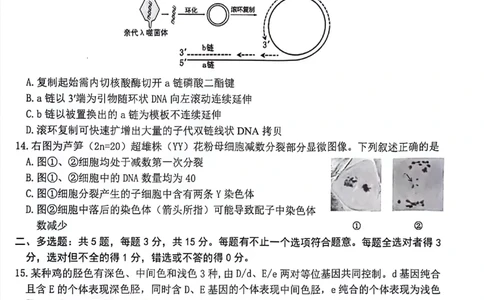 生物+答案江苏省连云港市2025-2026学年高三上学期11月期中考试生物试题_251116江苏省连云港市2025-2026学年高三上学期期中（全科）