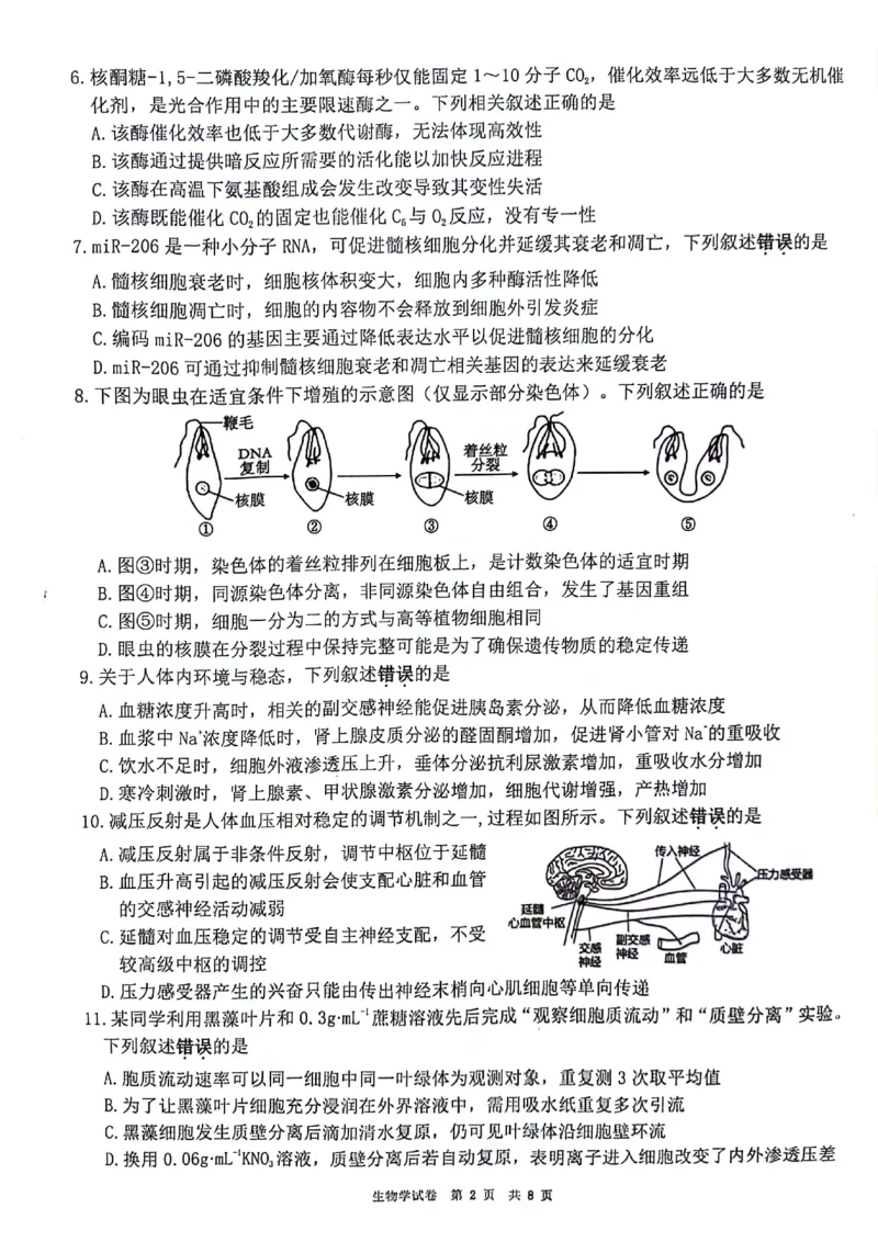 生物+答案江苏省连云港市2025-2026学年高三上学期11月期中考试生物试题_251116江苏省连云港市2025-2026学年高三上学期期中（全科）