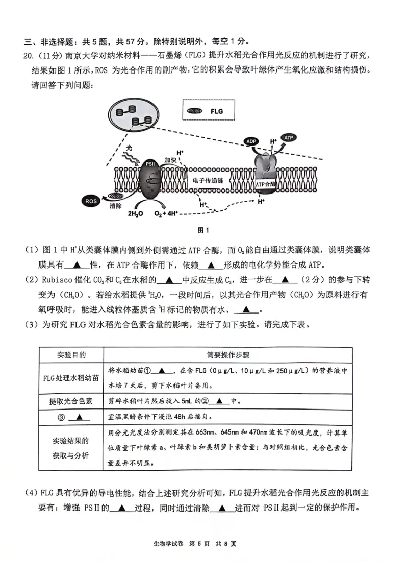 生物+答案江苏省连云港市2025-2026学年高三上学期11月期中考试生物试题_251116江苏省连云港市2025-2026学年高三上学期期中（全科）