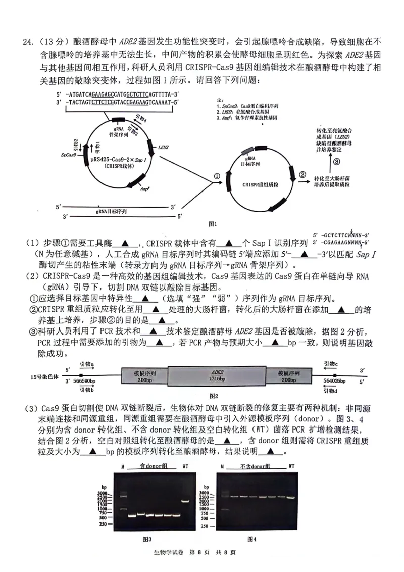 生物+答案江苏省连云港市2025-2026学年高三上学期11月期中考试生物试题_251116江苏省连云港市2025-2026学年高三上学期期中（全科）