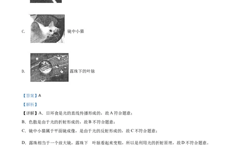 精品解析：2020年山东省潍坊市中考物理试题（解析版）_中考真题_4.物理中考真题2015-2024年_2020中考物理真题110份_2020年中考真题精品解析物理（山东潍坊卷）精编word版