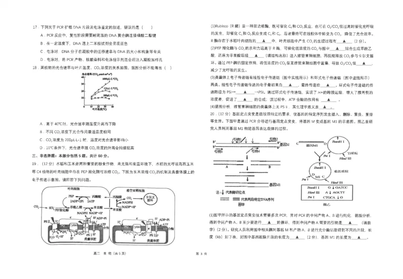 江苏省南通市海安高级中学2024-2025学年高二下学期6月月考生物试题（含答案）_2025年6月_250621江苏省南通市海安高级中学2024-2025学年高二下学期6月月考（全科）