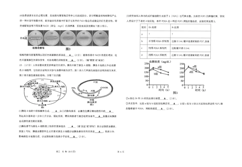 江苏省南通市海安高级中学2024-2025学年高二下学期6月月考生物试题（含答案）_2025年6月_250621江苏省南通市海安高级中学2024-2025学年高二下学期6月月考（全科）