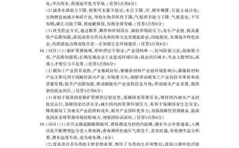 洛阳2024-2025学年6月高二质量检测-地理答案_2025年6月_250614河南洛阳市2024-2025学年6月高二质量检测（全科）(1)