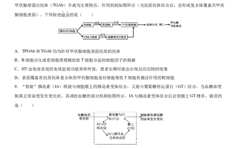 四川省成都市成华区某校2025-2026学年高三上学期12月一诊模拟生物试题_2025年12月_2512162026届四川省成都市成华区列五中学高三上学期12月一诊考前模拟（全科）