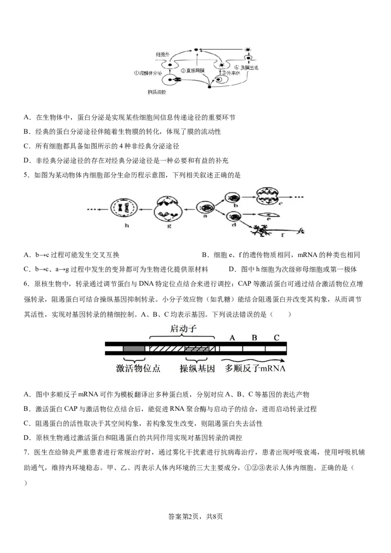 四川省成都市成华区某校2025-2026学年高三上学期12月一诊模拟生物试题_2025年12月_2512162026届四川省成都市成华区列五中学高三上学期12月一诊考前模拟（全科）