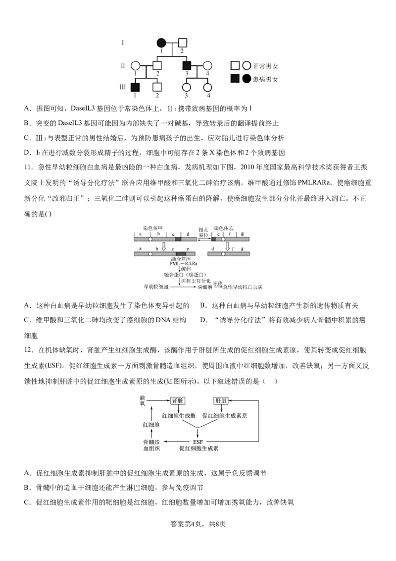四川省成都市成华区某校2025-2026学年高三上学期12月一诊模拟生物试题_2025年12月_2512162026届四川省成都市成华区列五中学高三上学期12月一诊考前模拟（全科）