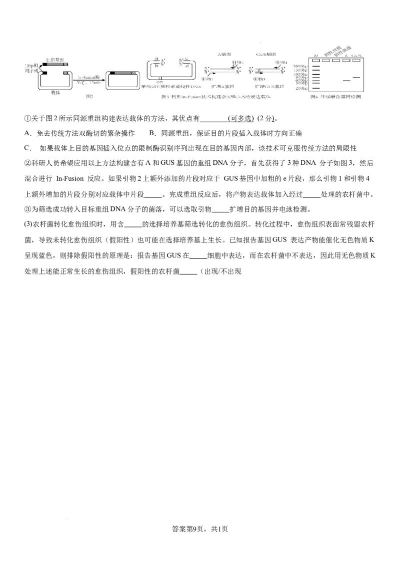 四川省成都市成华区某校2025-2026学年高三上学期12月一诊模拟生物试题_2025年12月_2512162026届四川省成都市成华区列五中学高三上学期12月一诊考前模拟（全科）
