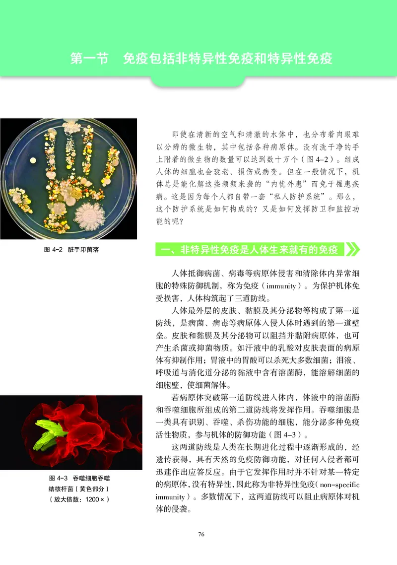 沪科教生物选修1高清教材_4-教培资料-26年最新资料-同步更新_初中高中教资_03科三专项（进去保存报考的学科即可）_02科三专项（笔记真题思维导图教学设计版本二）