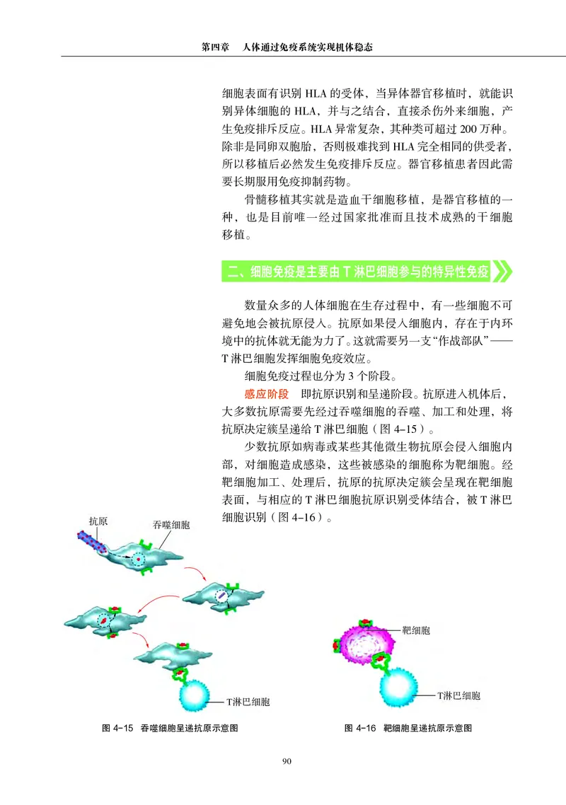 沪科教生物选修1高清教材_4-教培资料-26年最新资料-同步更新_初中高中教资_03科三专项（进去保存报考的学科即可）_02科三专项（笔记真题思维导图教学设计版本二）