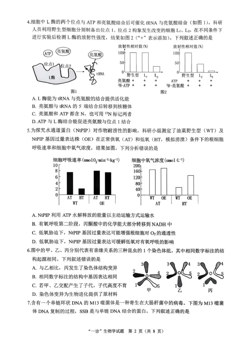 四川省达州市普通高中2026届高三上学期第一次诊断性测试生物试题（含答案）_2025年12月_251217四川省达州市普通高中2026届高三上学期第一次诊断性测试（全科）