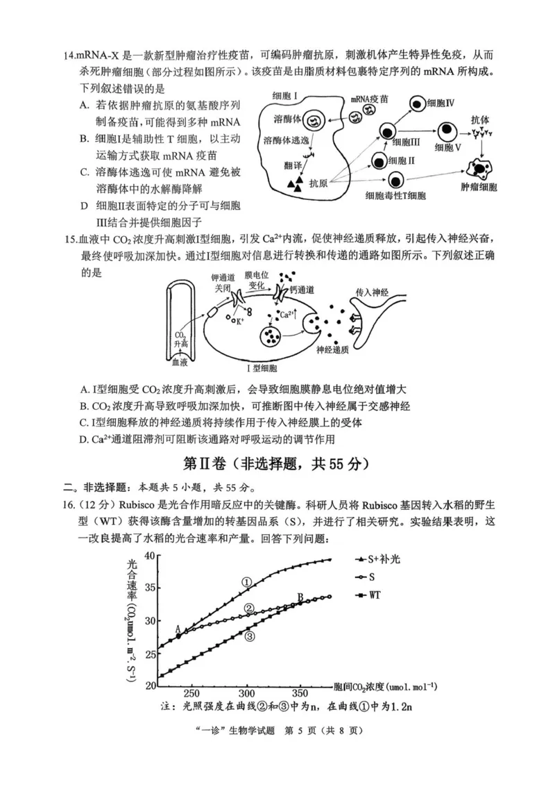 四川省达州市普通高中2026届高三上学期第一次诊断性测试生物试题（含答案）_2025年12月_251217四川省达州市普通高中2026届高三上学期第一次诊断性测试（全科）