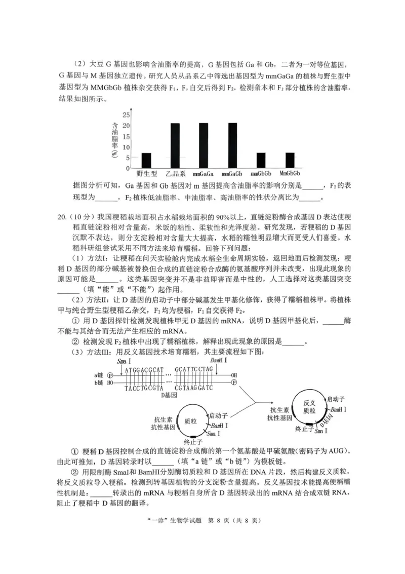 四川省达州市普通高中2026届高三上学期第一次诊断性测试生物试题（含答案）_2025年12月_251217四川省达州市普通高中2026届高三上学期第一次诊断性测试（全科）