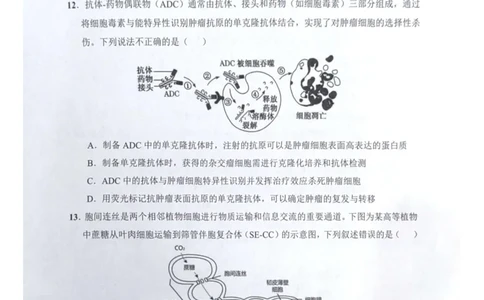 海南省海口市2024-2025学年高二下学期7月期末考试生物试题_2025年7月_250729海南省海口市2024-2025学年高二下学期7月期末考试（全科）