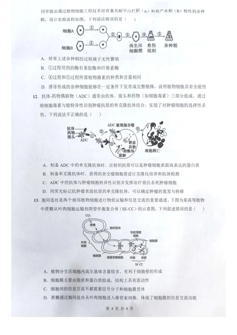 海南省海口市2024-2025学年高二下学期7月期末考试生物试题_2025年7月_250729海南省海口市2024-2025学年高二下学期7月期末考试（全科）