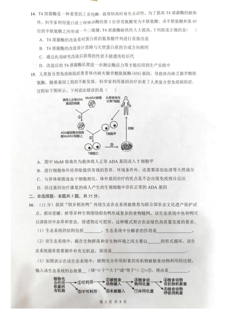 海南省海口市2024-2025学年高二下学期7月期末考试生物试题_2025年7月_250729海南省海口市2024-2025学年高二下学期7月期末考试（全科）