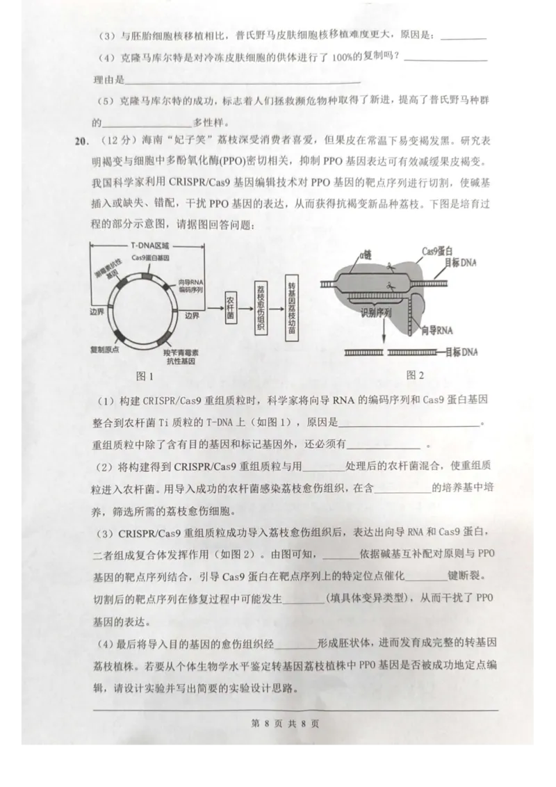 海南省海口市2024-2025学年高二下学期7月期末考试生物试题_2025年7月_250729海南省海口市2024-2025学年高二下学期7月期末考试（全科）