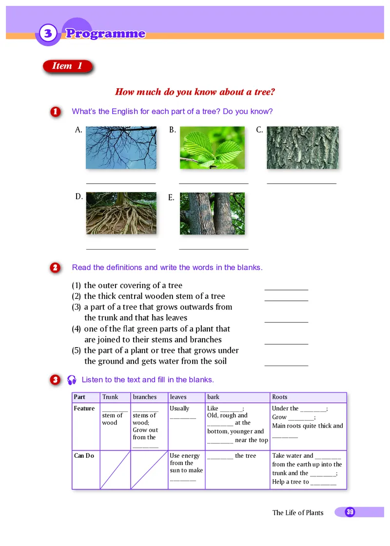 沪外教9年级英语下册高清教材_4-教培资料-26年最新资料-同步更新_初中高中教资_03科三专项（进去保存报考的学科即可）_02科三专项（笔记真题思维导图教学设计版本二）