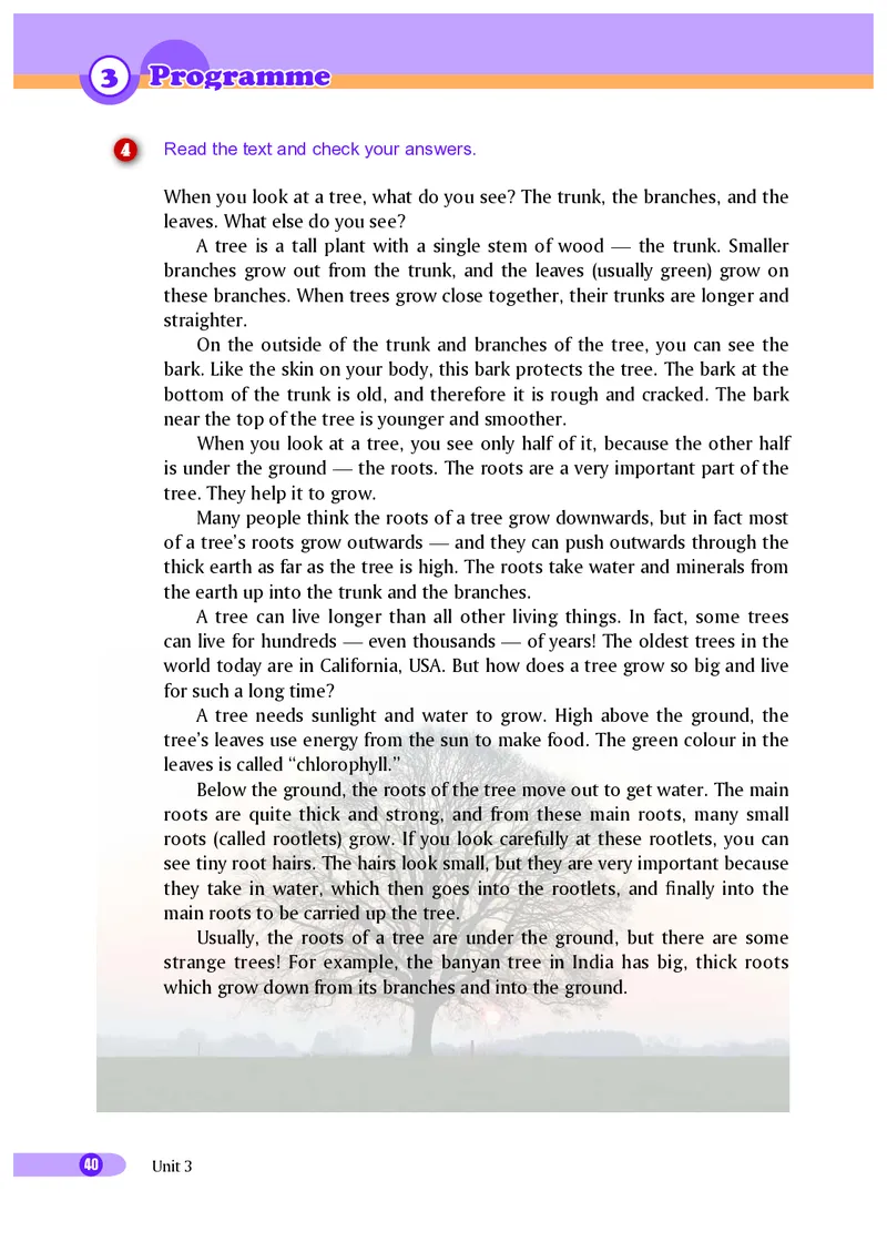 沪外教9年级英语下册高清教材_4-教培资料-26年最新资料-同步更新_初中高中教资_03科三专项（进去保存报考的学科即可）_02科三专项（笔记真题思维导图教学设计版本二）