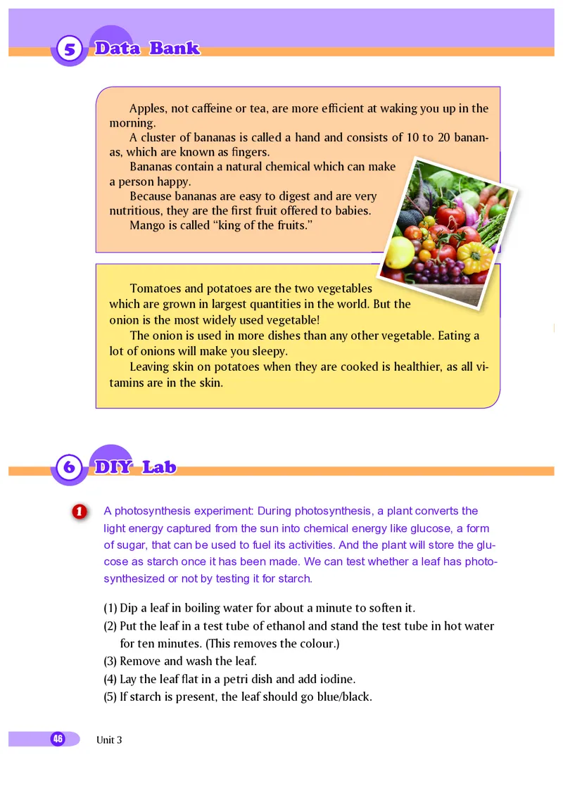 沪外教9年级英语下册高清教材_4-教培资料-26年最新资料-同步更新_初中高中教资_03科三专项（进去保存报考的学科即可）_02科三专项（笔记真题思维导图教学设计版本二）