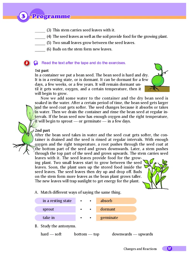 沪外教9年级英语下册高清教材_4-教培资料-26年最新资料-同步更新_初中高中教资_03科三专项（进去保存报考的学科即可）_02科三专项（笔记真题思维导图教学设计版本二）