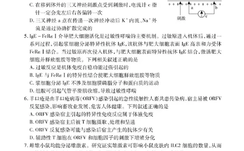 湖北省荆州市2024-2025学年高二下学期7月期末质量检测生物试题（含答案）_2025年7月_250702湖北省荆州市2024-2025学年高二下学期7月期末考试（全科）